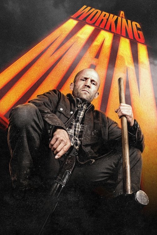 poster of A Working Man