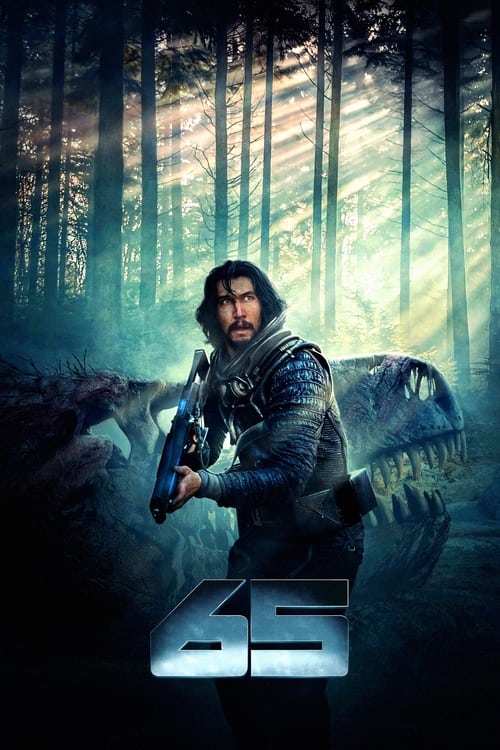poster of 65