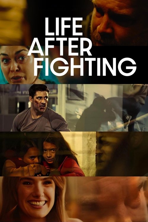 poster of Life After Fighting