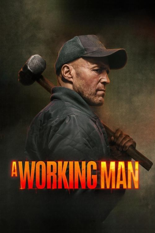 poster of A Working Man